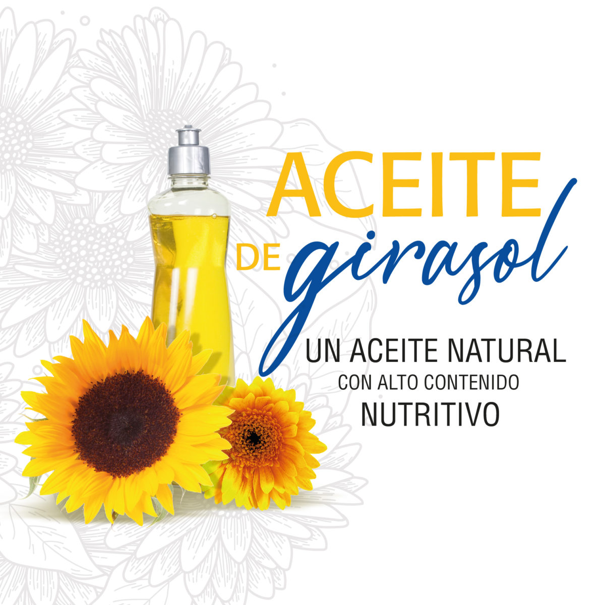 Aceite De Girasol Ciacomeq Sas